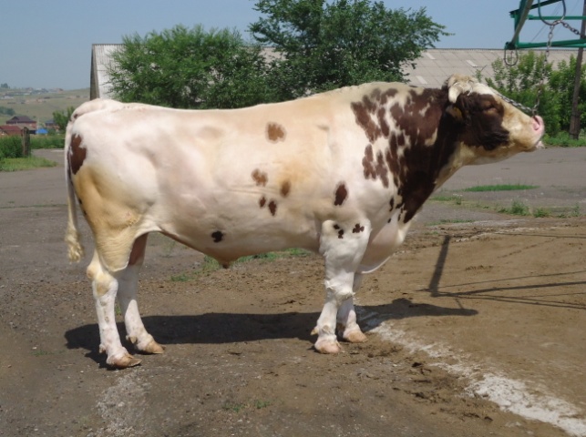 ДЕПОЗИТ 19125 КСКП-154